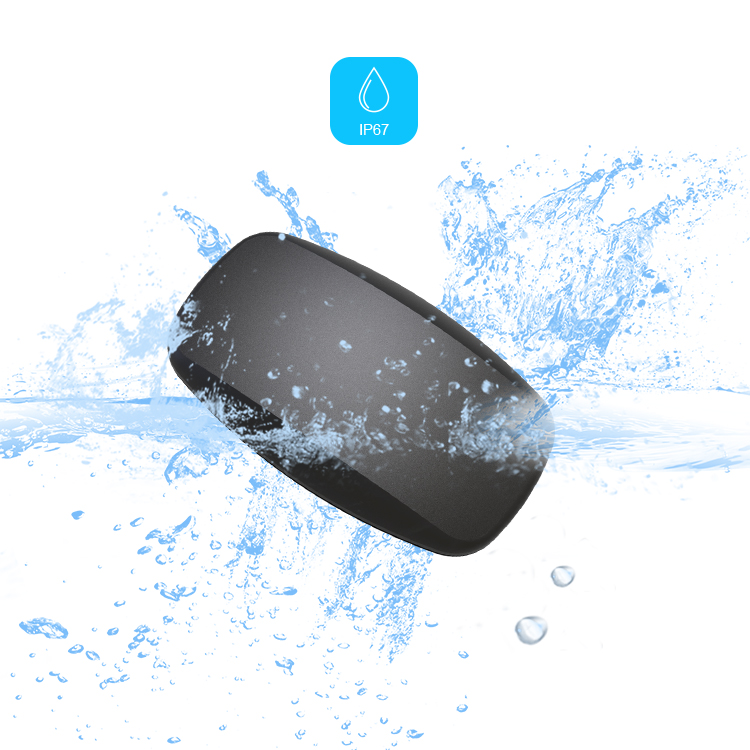 BLE5.0 ANT+ Heart Rate Monitor - đánh giá và giá Heart Rate Strap Chest