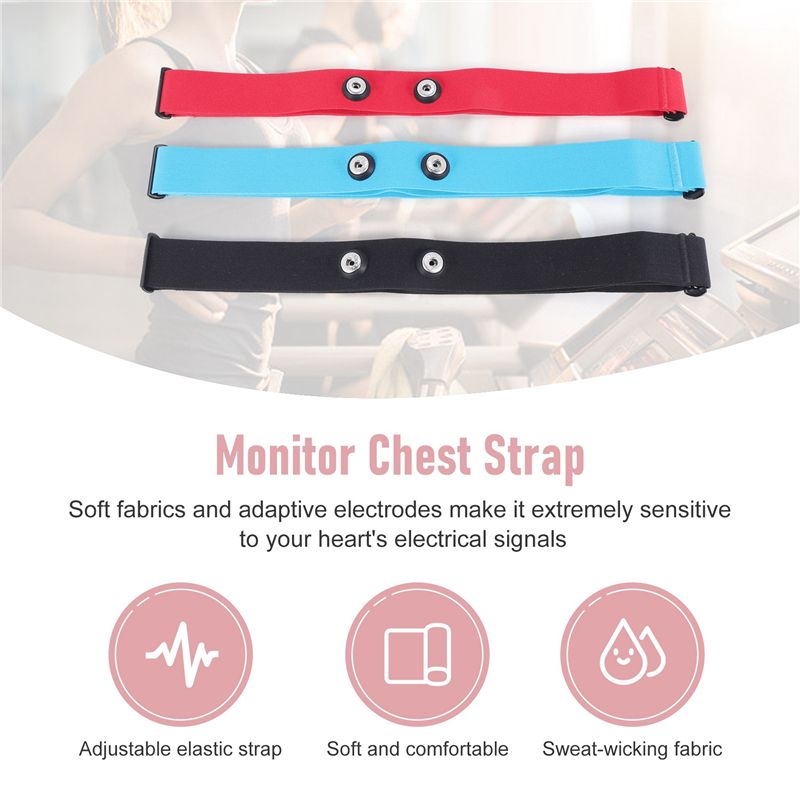 RTENTE-3Pcs For Magene Heart R - đánh giá và giá Heart Rate Strap Chest