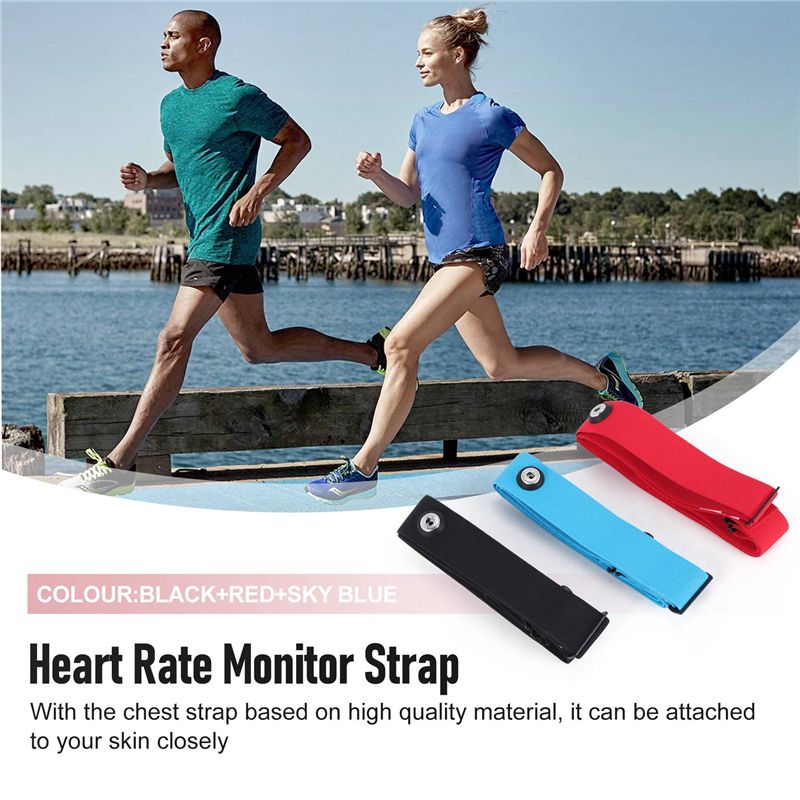 RTENTE-3Pcs For Magene Heart R - đánh giá và giá Heart Rate Strap Chest