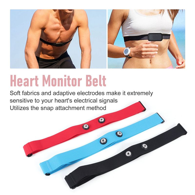 RTENTE-3Pcs For Magene Heart R - đánh giá và giá Heart Rate Strap Chest